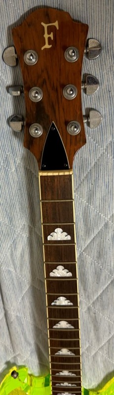 FERNANDES ／ Burny MG-115C グリーンの画像